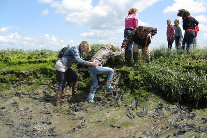 Beleef de natuur en ga op avontuur met Staatsbosbeheer